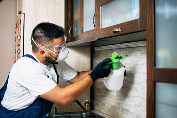 Best Residential Pest Control  in Buena, NJ