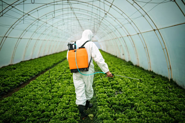 Best Pest Prevention Services  in Buena, NJ