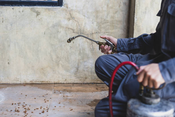Best Best Pest Control Companies  in Buena, NJ